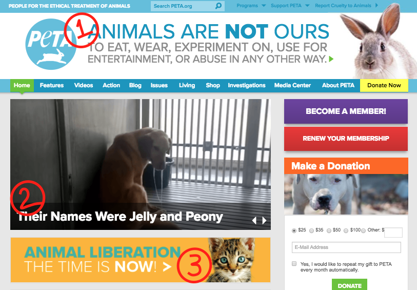 PETA website using copywriting formula PAS